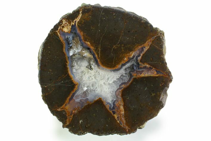 Colorful Polished Thunderegg Half - Nevada #337767